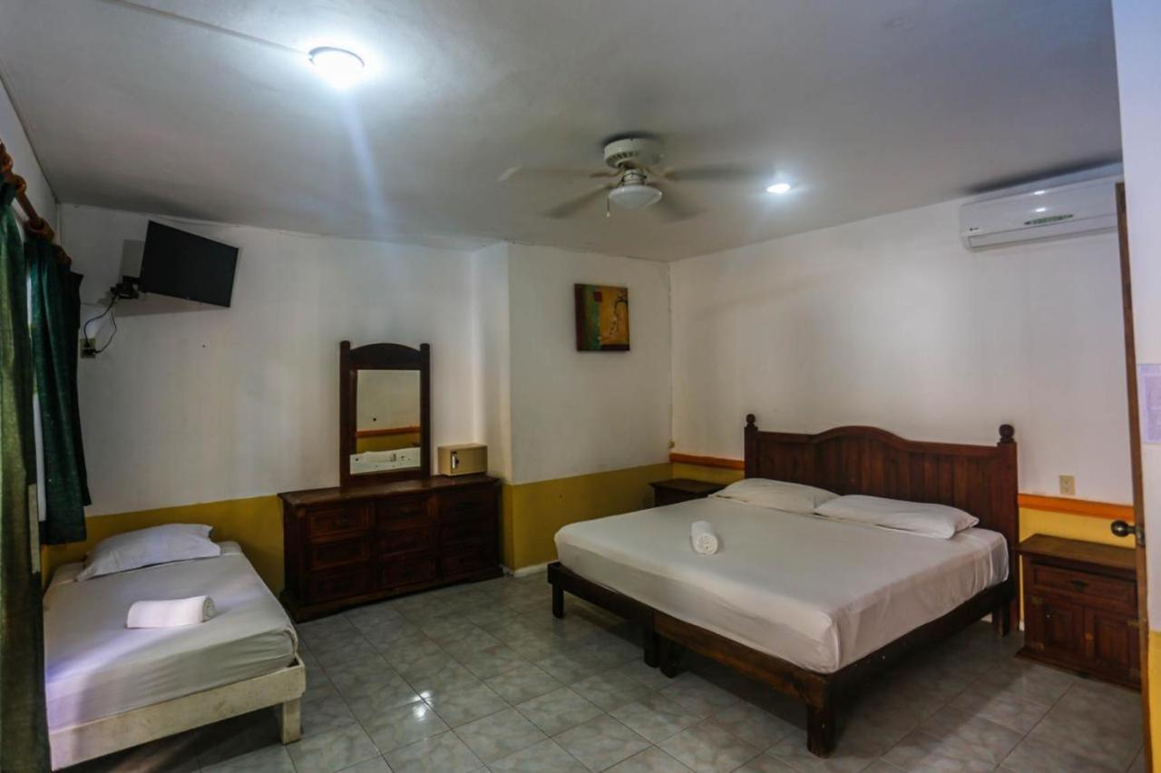 Hotel Vista Caribe 5Ta Av A 5 Pasos De La Playa 普拉亚卡门 外观 照片