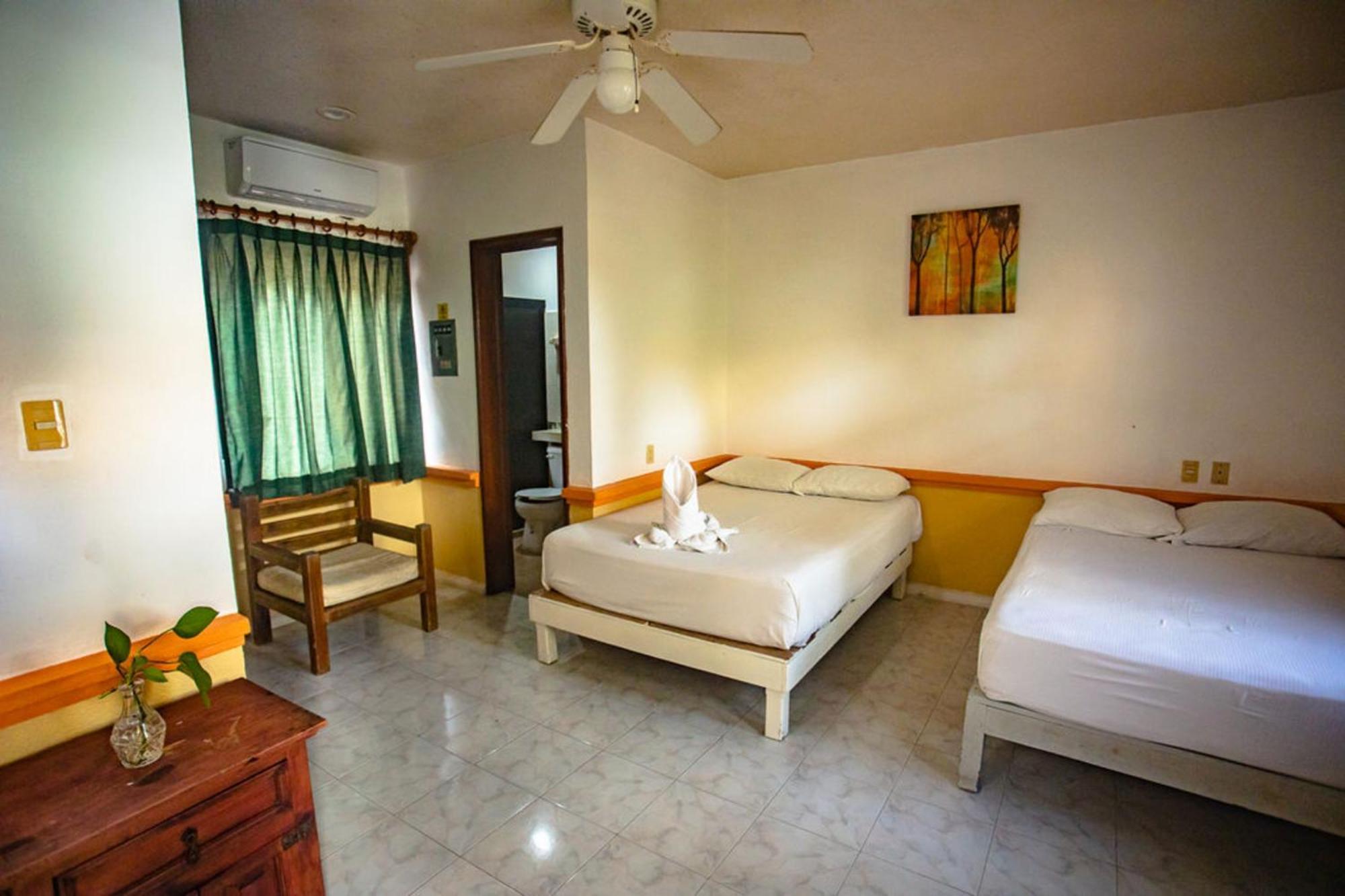 Hotel Vista Caribe 5Ta Av A 5 Pasos De La Playa 普拉亚卡门 外观 照片